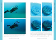 Underwater Photography: A Step-by-Step Guide to Taking Professional Quality Underwater Photos With a Point-and-Shoot Camera