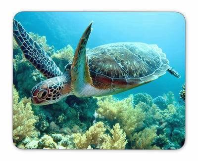 Sea Turtle Mouse Pad